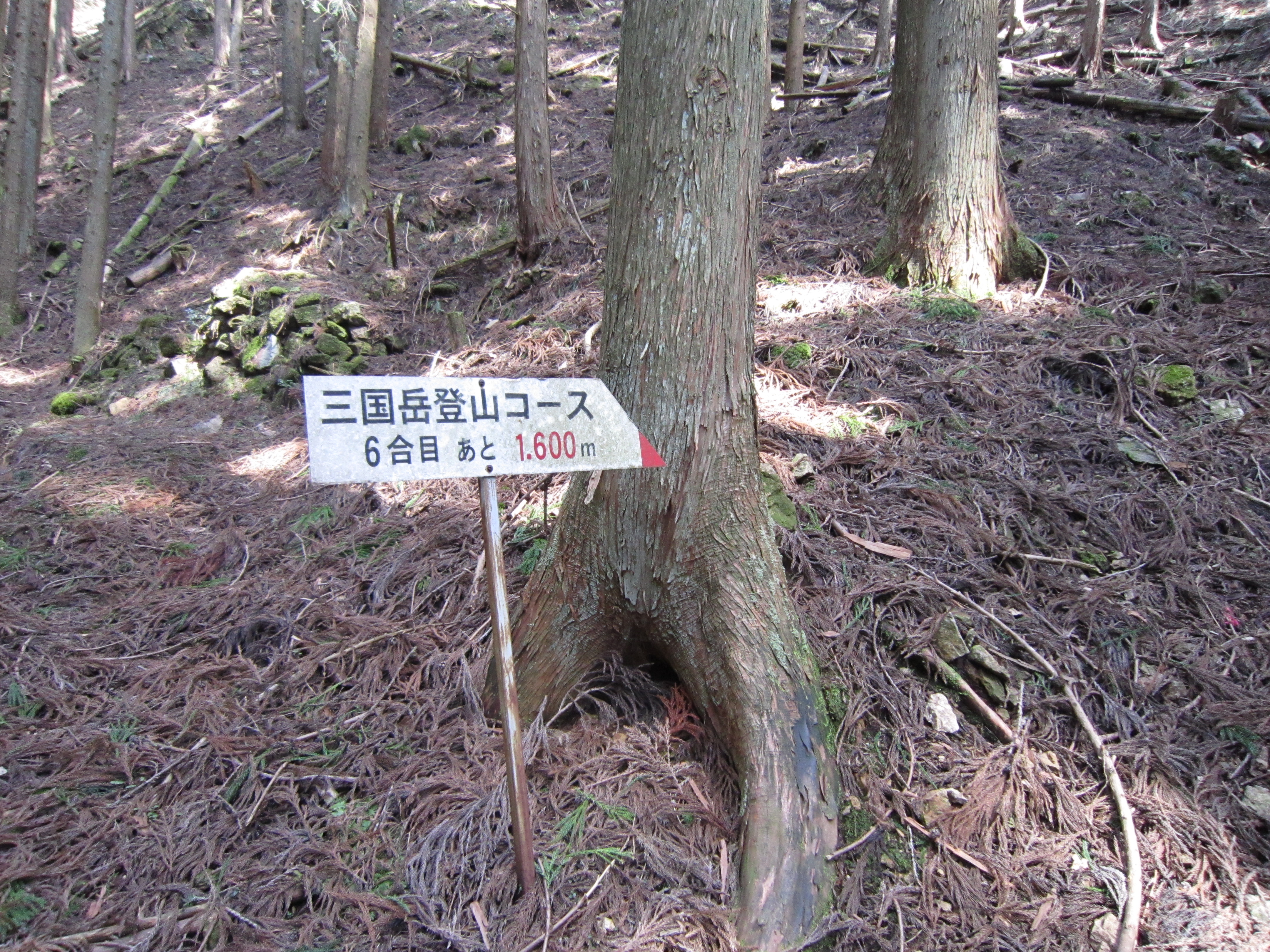 ６合目