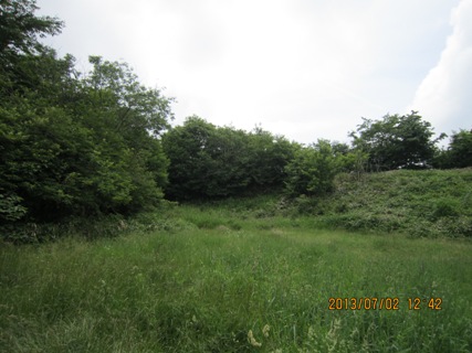 通番１０三国山