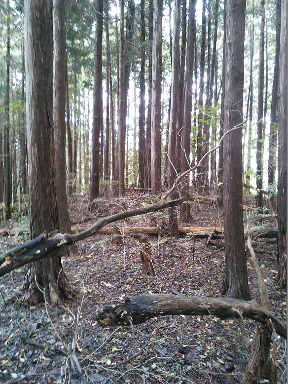 １８番三国山　山頂