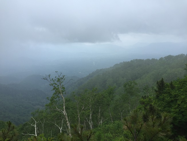 稜線への取り付き